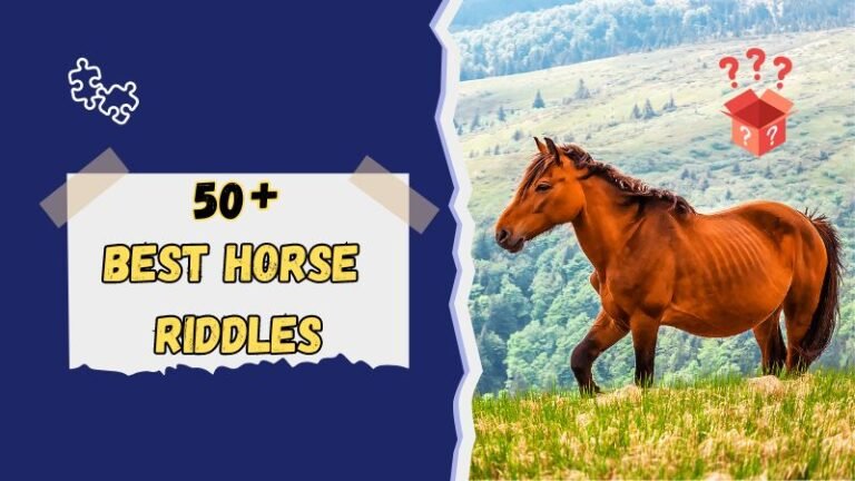 Horse Riddles to Challenge Your Equestrian Knowledge